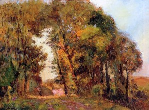 Trees at Sunset